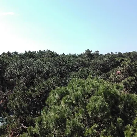 Pineta Palace 아파트